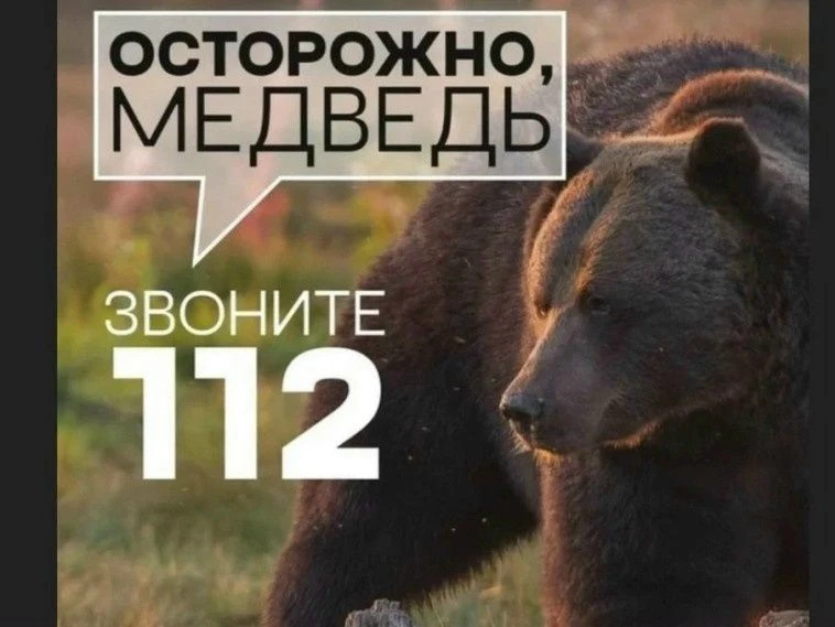 Важное сообщение от ЕДДС Уярского района!