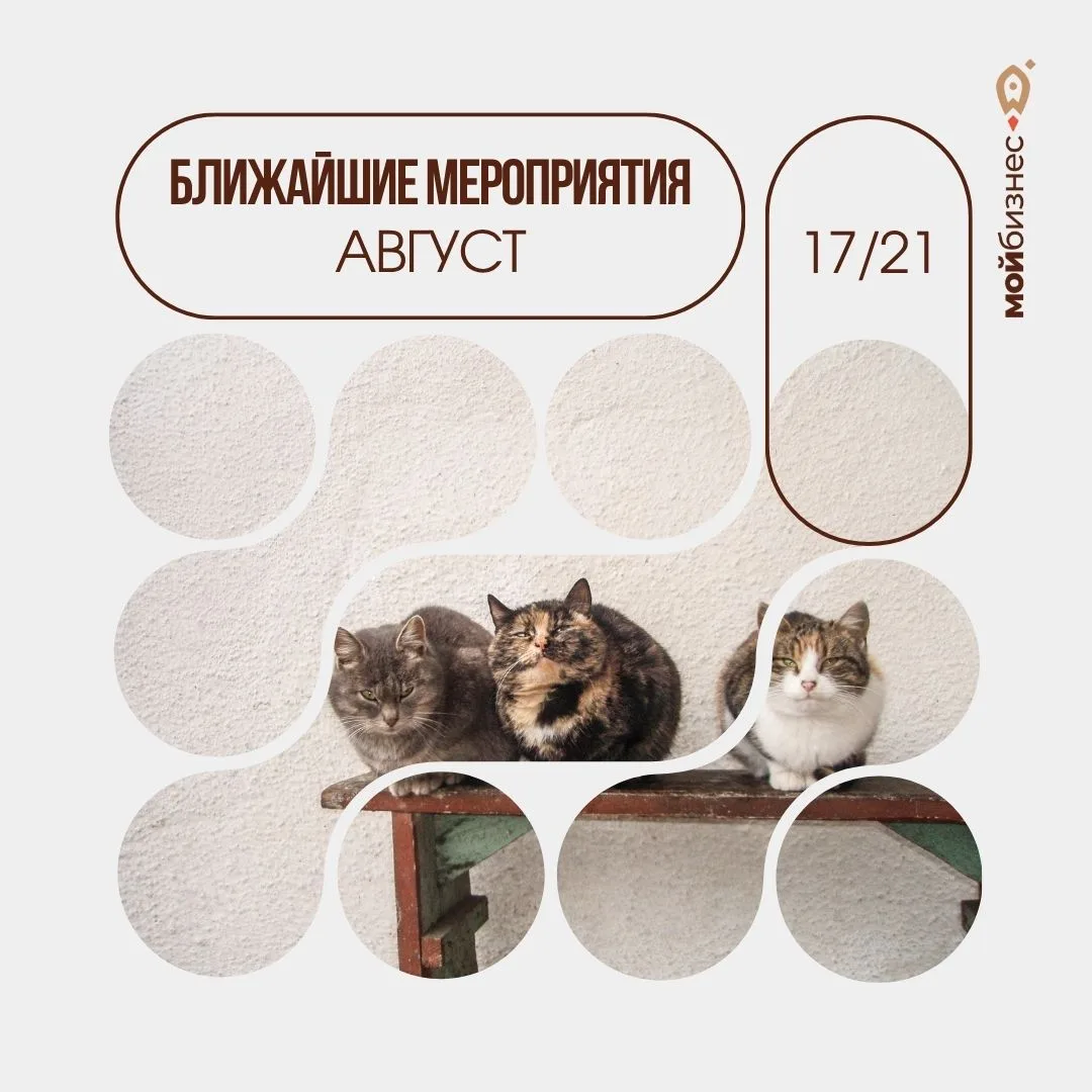 Успейте зарегистрироваться!