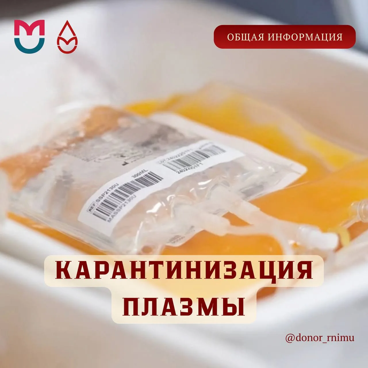 💛 Почему плазму нельзя перелить сразу?

Ее отправляют на «карантин» — от 4 месяцев до 3 лет. Это ед