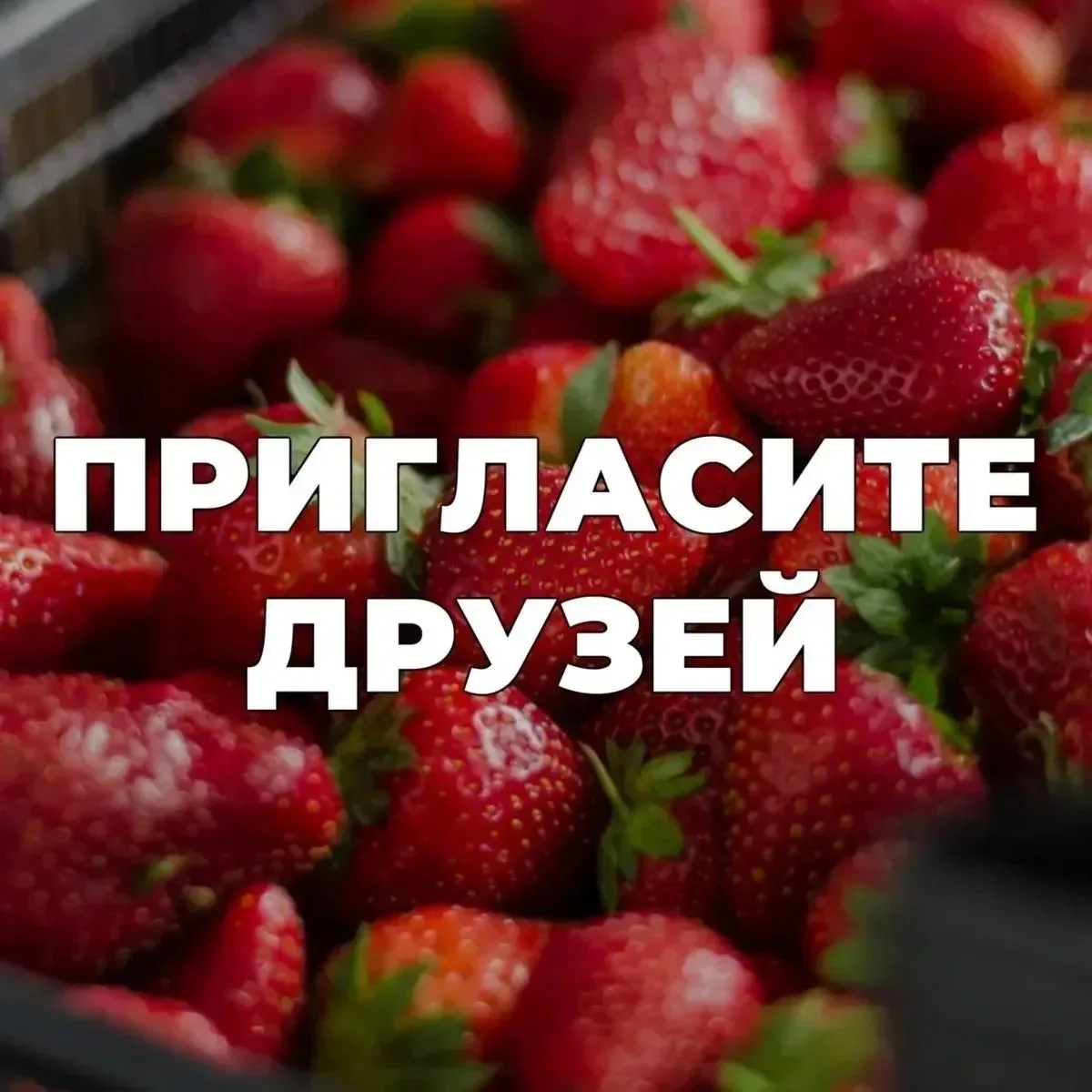 🤍 Пригласите друзей - пусть тоже покупают вкусно и удобно

Если вам нравится наш формат закупок - п