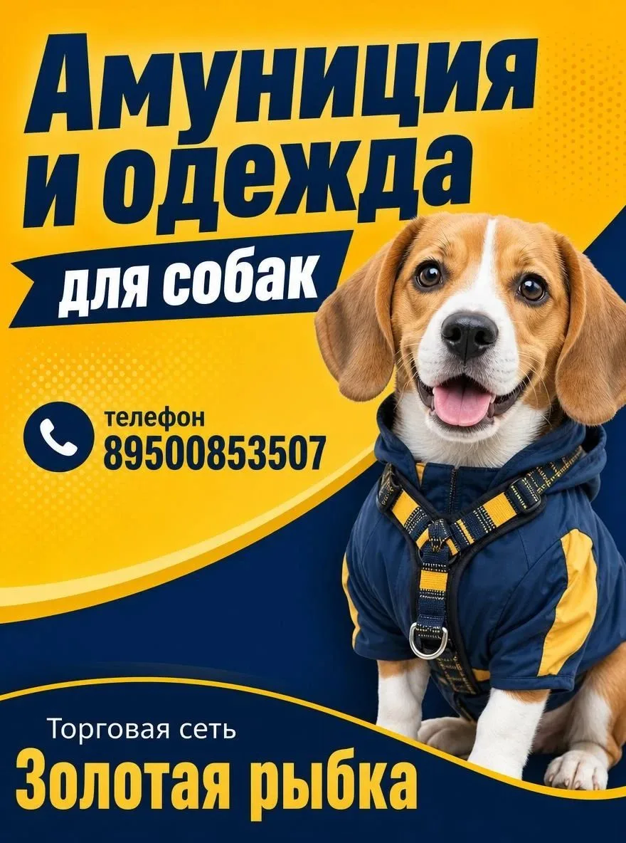 ​ Все для комфортных и безопасных прогулок с вашим питомцем! 🦮