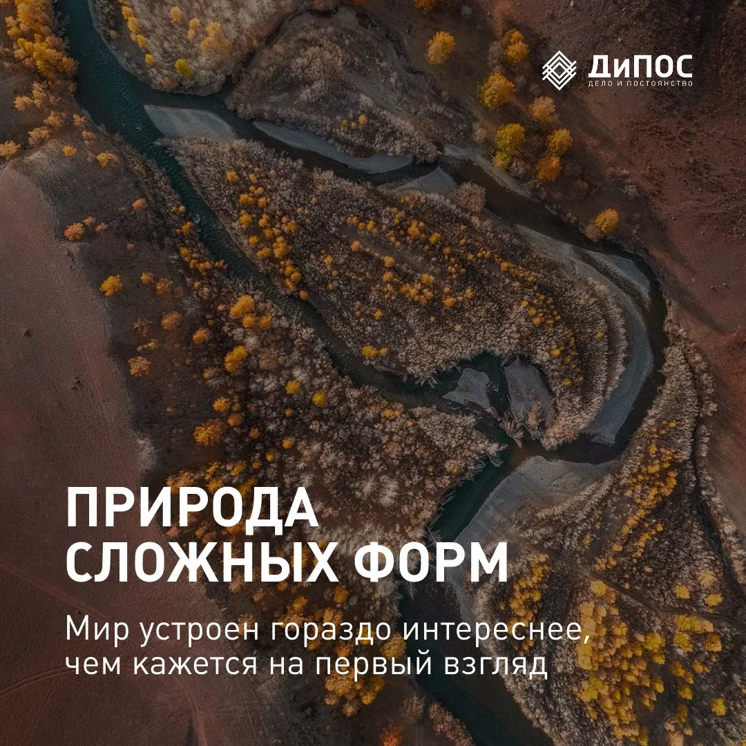 ПРИРОДА СЛОЖНЫХ ФОРМ