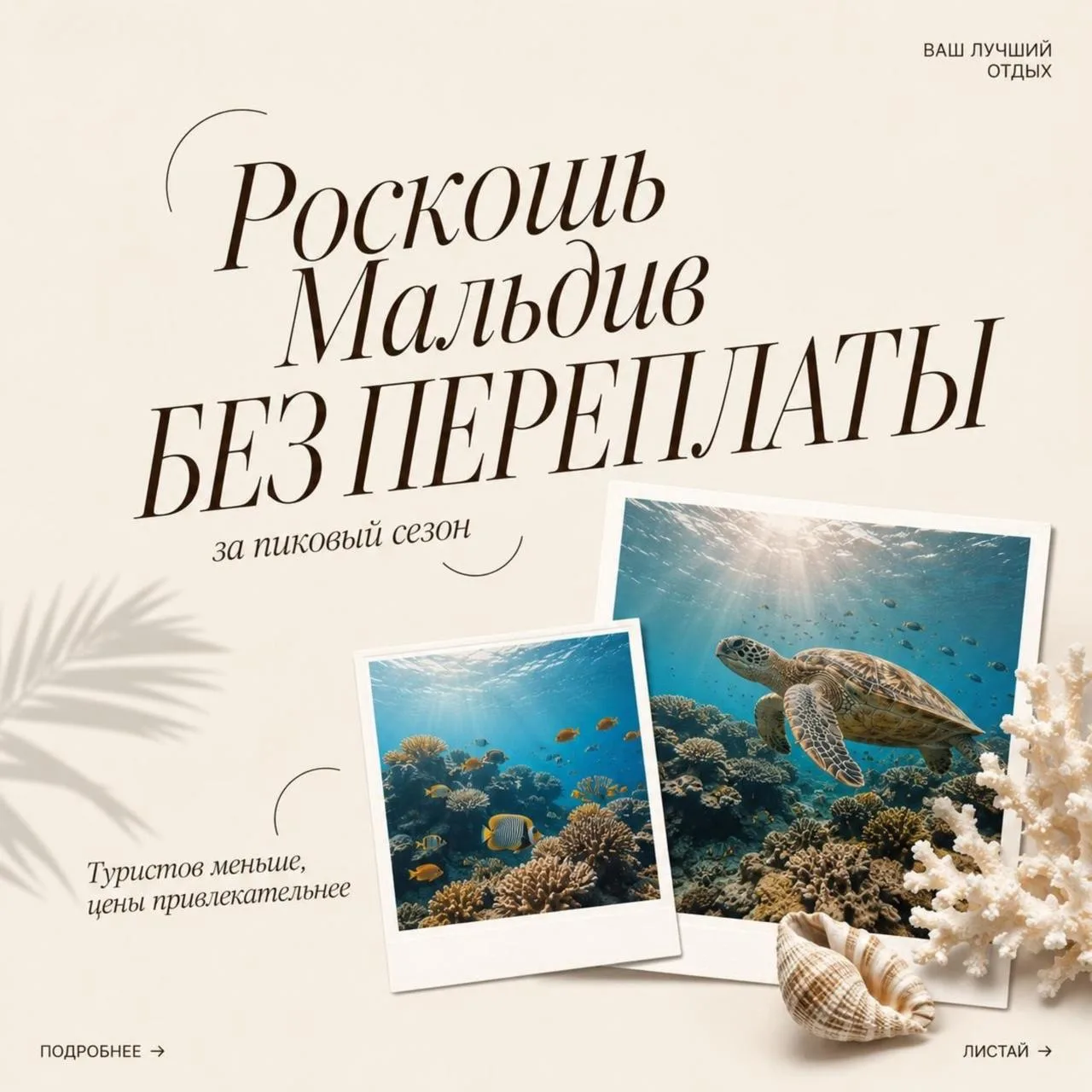 Мальдивы летом 🌴: когда можно отдохнуть выгоднее