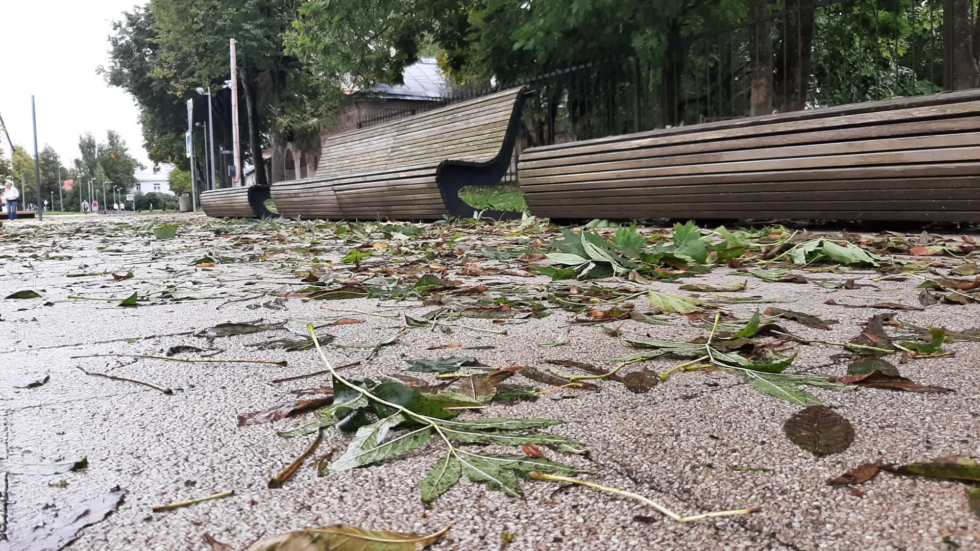 Шторм приукрасил тротуары города 🌧