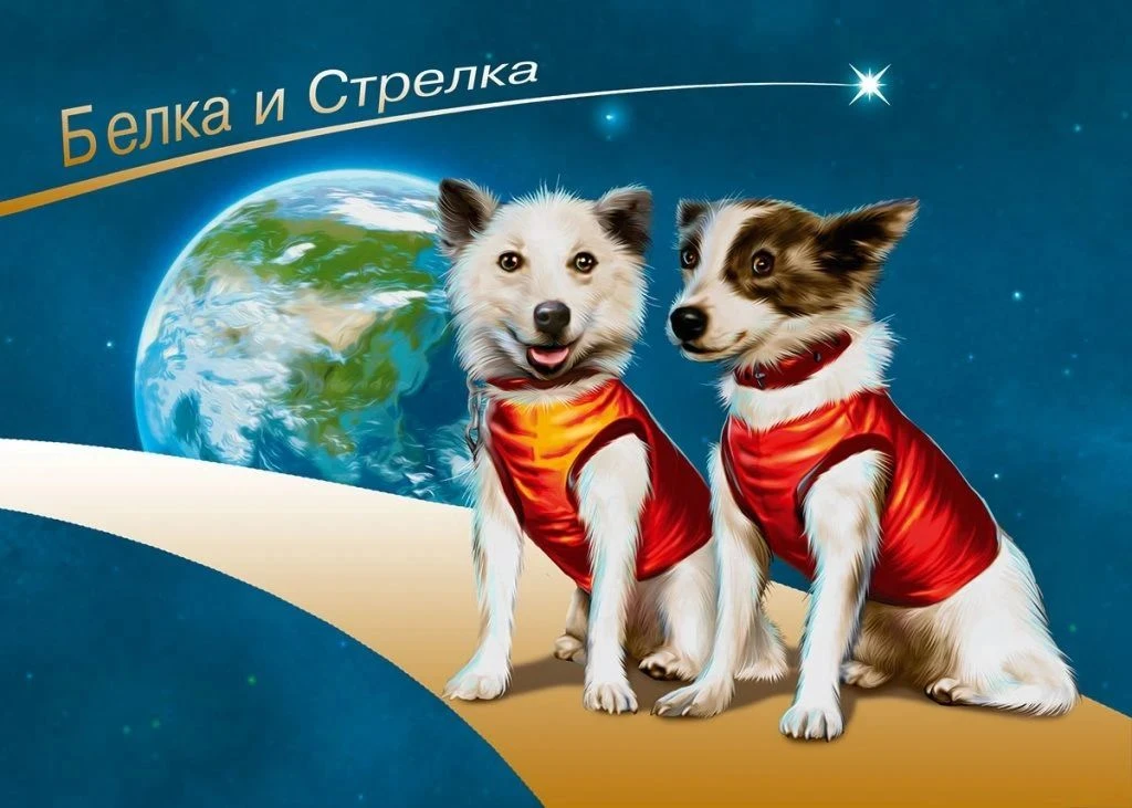 🚀 19 августа — День полёта Белки и Стрелки: как собаки открыли дорогу в космос!