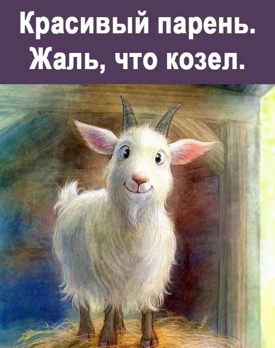 👉Ой, всё! Подписаться
