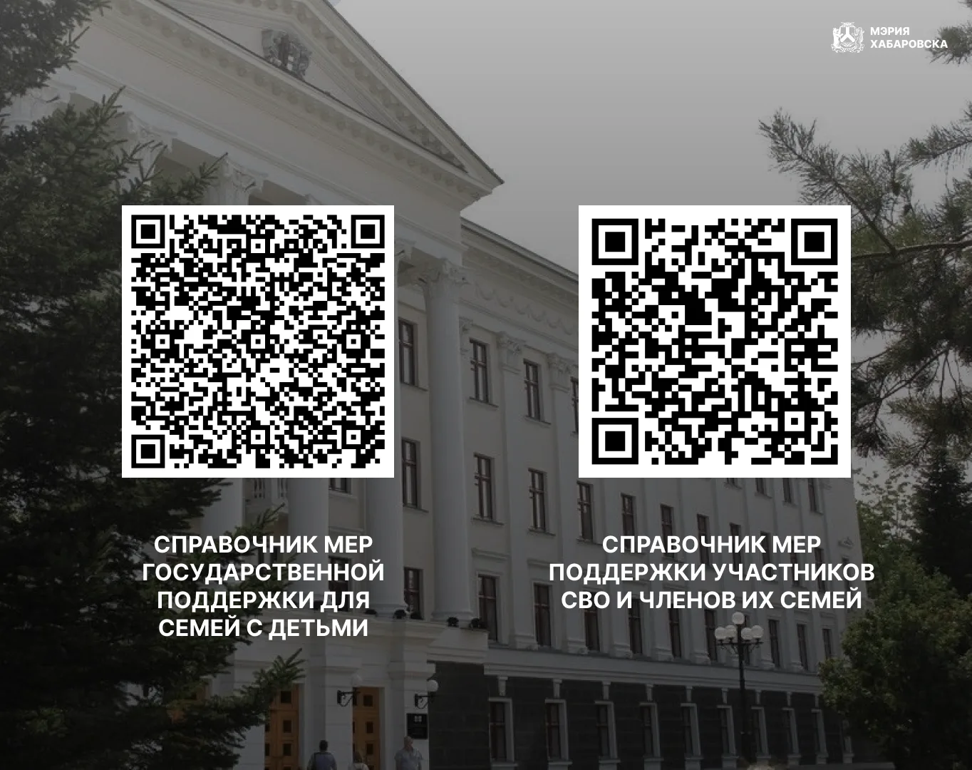 Министерство социальной защиты Хабаровского края разработало справочник мер государстве...