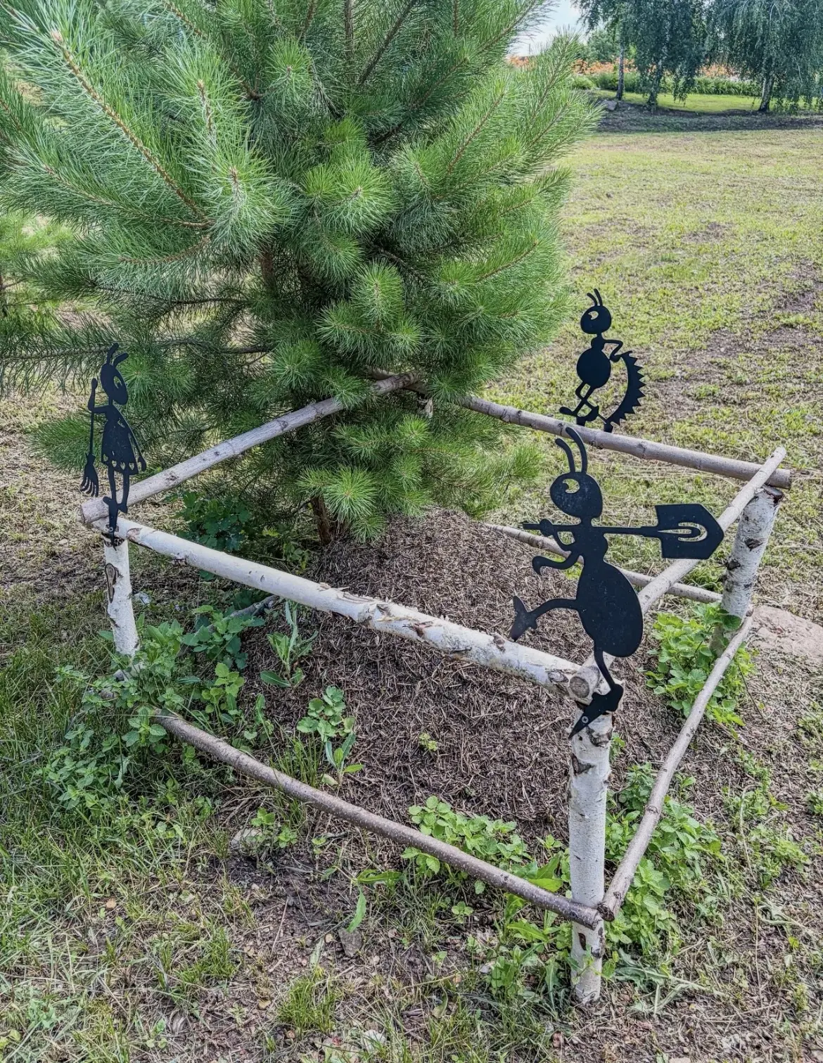 Муравейник в детском саду попал на объектив фоторепортёра Рустама Ягафарова.