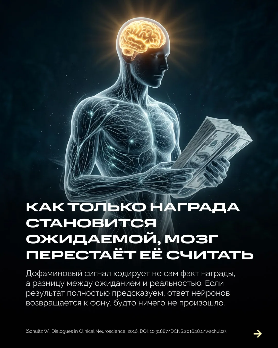 Изображение 5 к публикации «Александр Дзидзария»