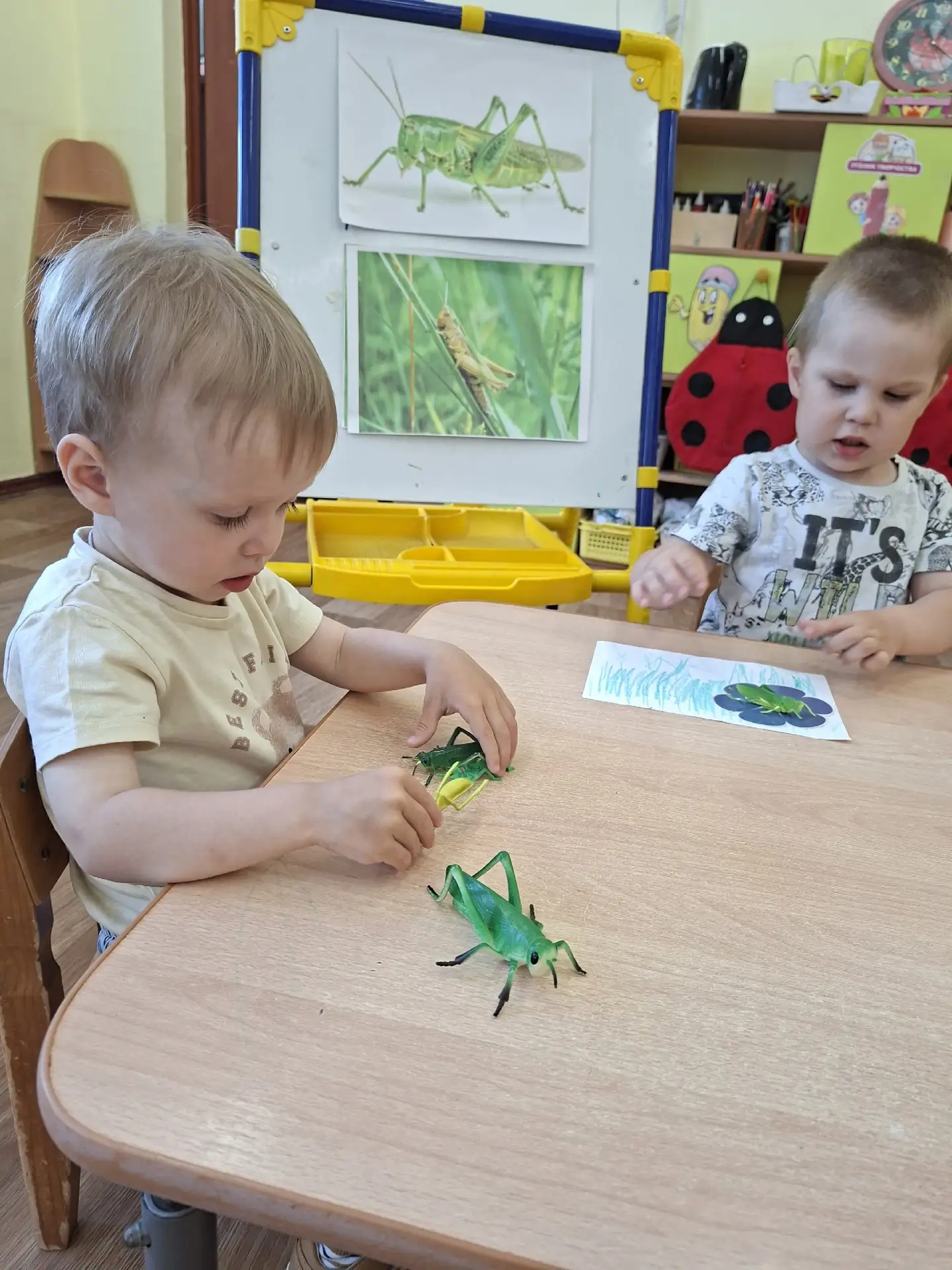💥Рубрика «Экология». 

🦗«День кузнечика» в группе «Солнышко»!

Малыши группы продолжают свое знако