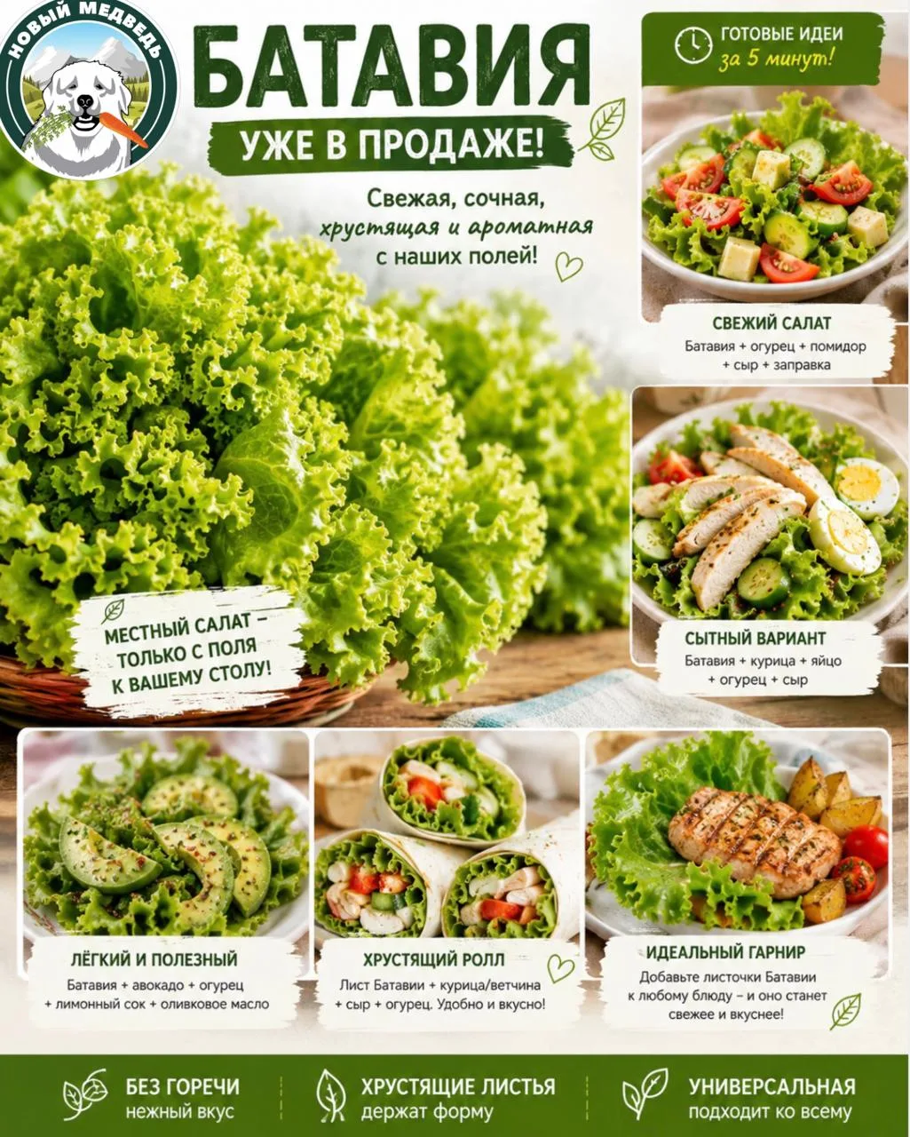 #НовыйМедведь