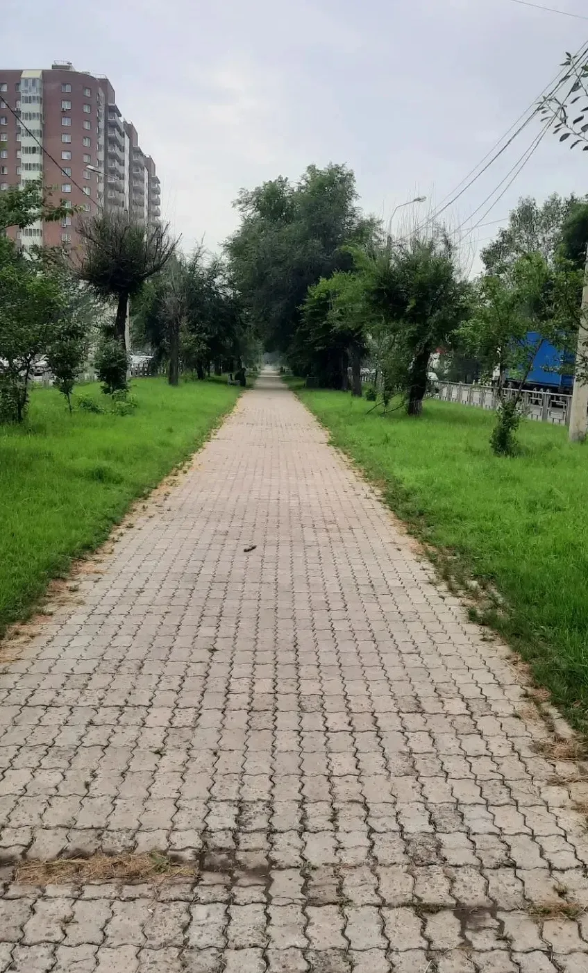 Приглашаем на урбан-форум по благоустройству бульвара Ботанический⛲

Сегодня в администрации Октябрь