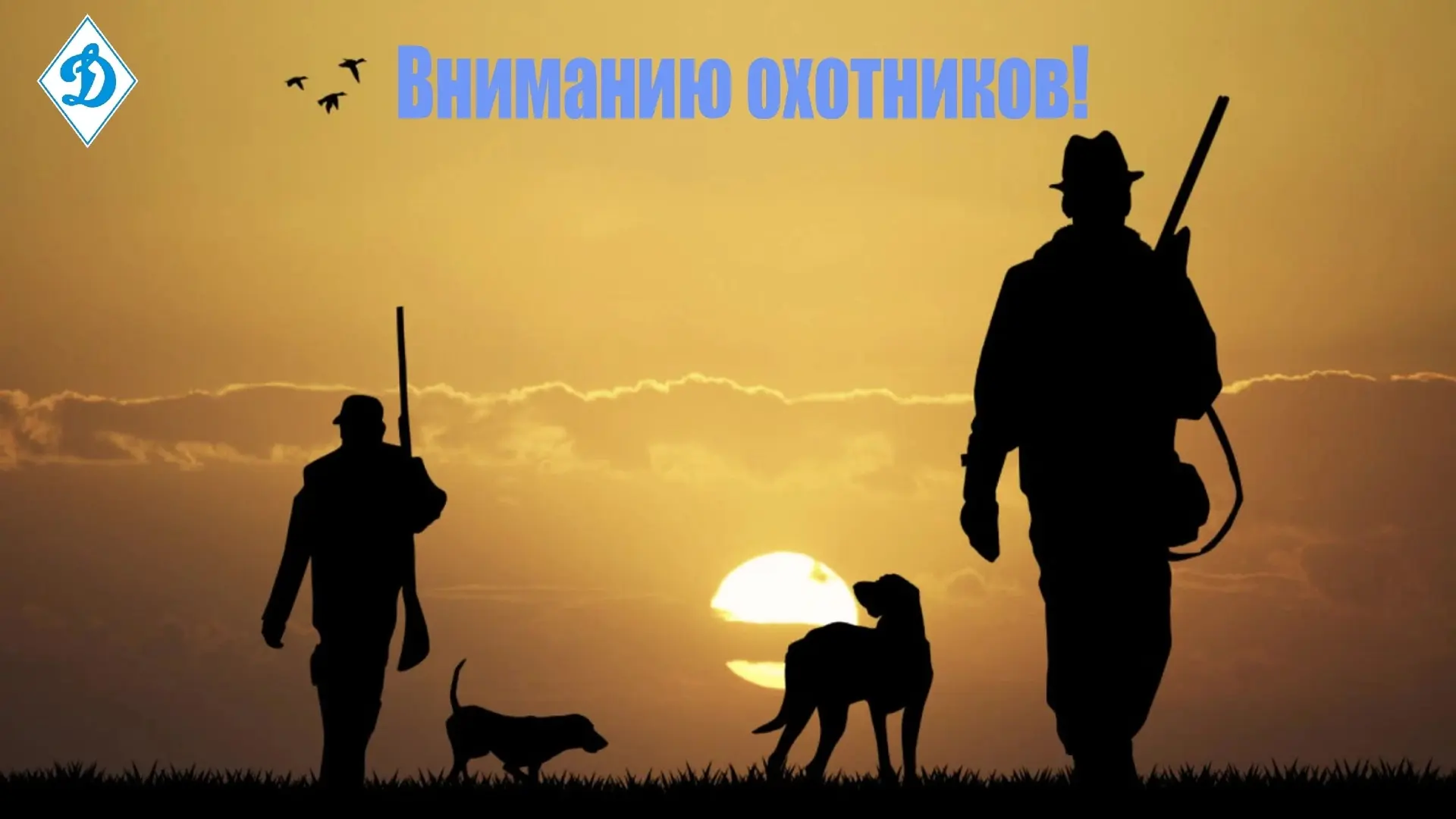 ⚪🔵Вниманию охотников - динамовцев