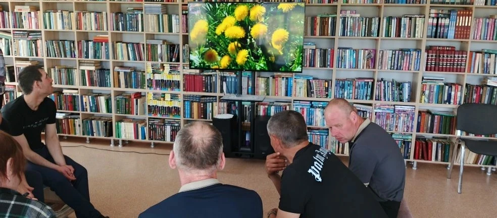 🌼 13 мая — Всемирный день одуванчика! 🌼