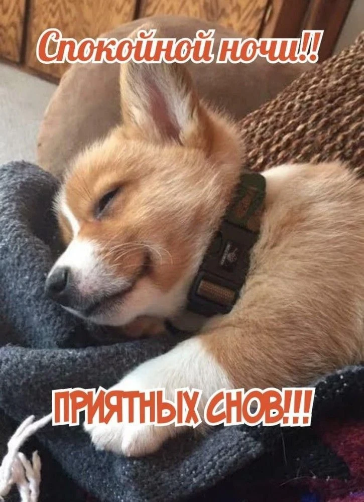 🥰 Ставьте реакции и делитесь открыткой с близкими ❤️ОТКРЫТКИ - @public168185645