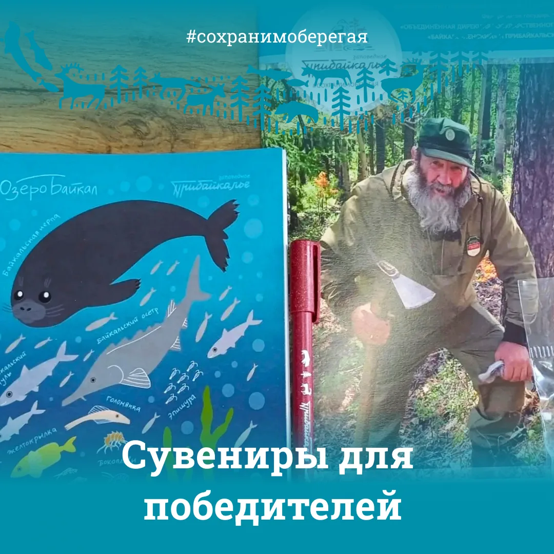 ПОБЕДИТЕЛИ