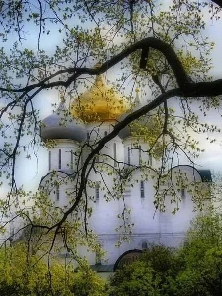 ЖИЗНЬ ВСЁ РАССТАВИТ ПО МЕСТАМ,  ОНА НАКАЖЕТ И РАССУДИТ  ЗА ТО, ЧТО НЕ ТОГДА, НЕ ТАМ  МЫ ОКАЗАЛИСЬ ВО