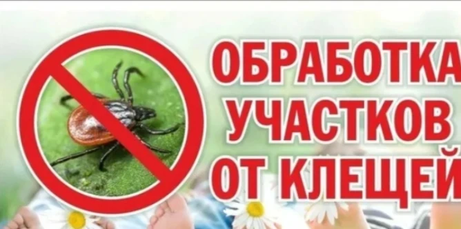 ❗ Важное объявление для родителей