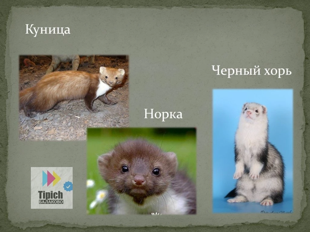 "За что же такое?"