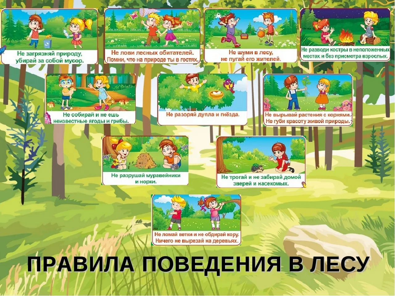 #МОУСтаромаклаушинскаясредняяшкола