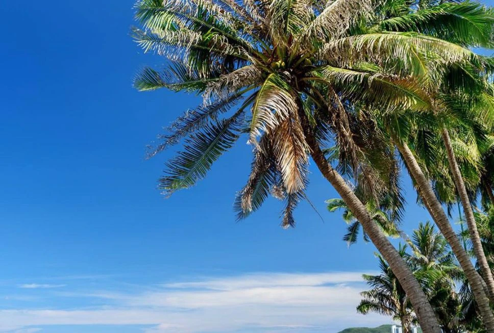 Горящие туры в Таиланд: цены на 50 % ниже, чем в сезон! 🌴