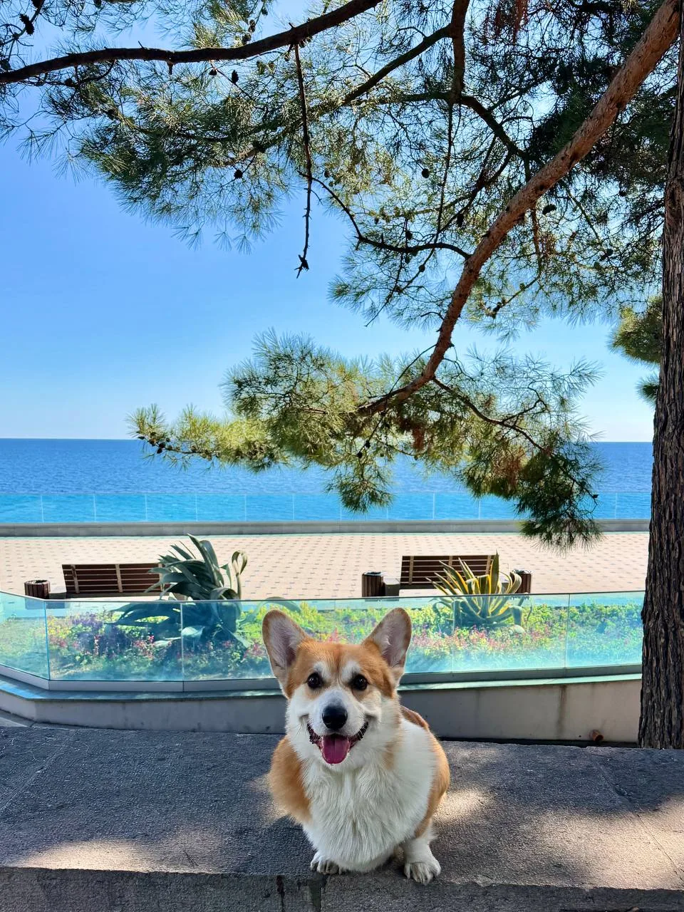 Прекрасный солнечный день в Ялте😎🌞