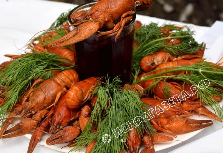 В Ростовской области снова разрешили ловить раков, но с ограничениями

🦞Какими ➡️ЧИТАЙТЕ НА САЙТЕ

