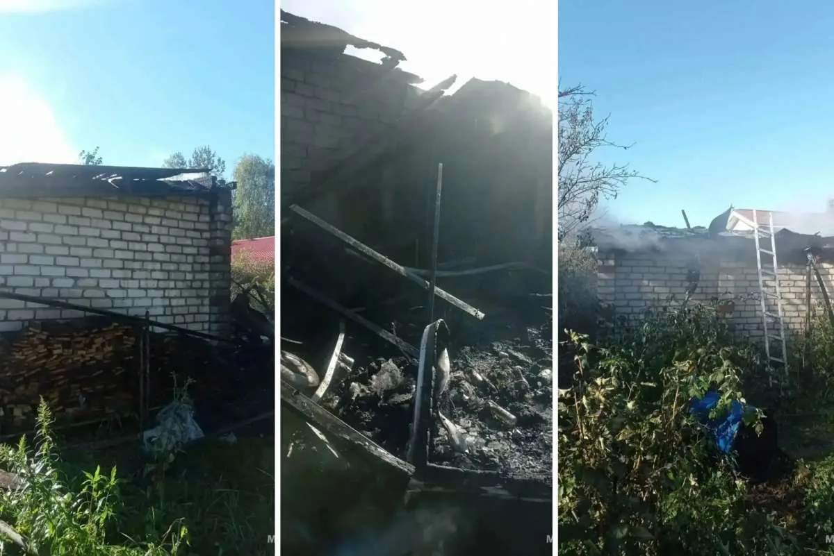 ❗ Трагедия в Большой Ельне: погибли семь питомцев