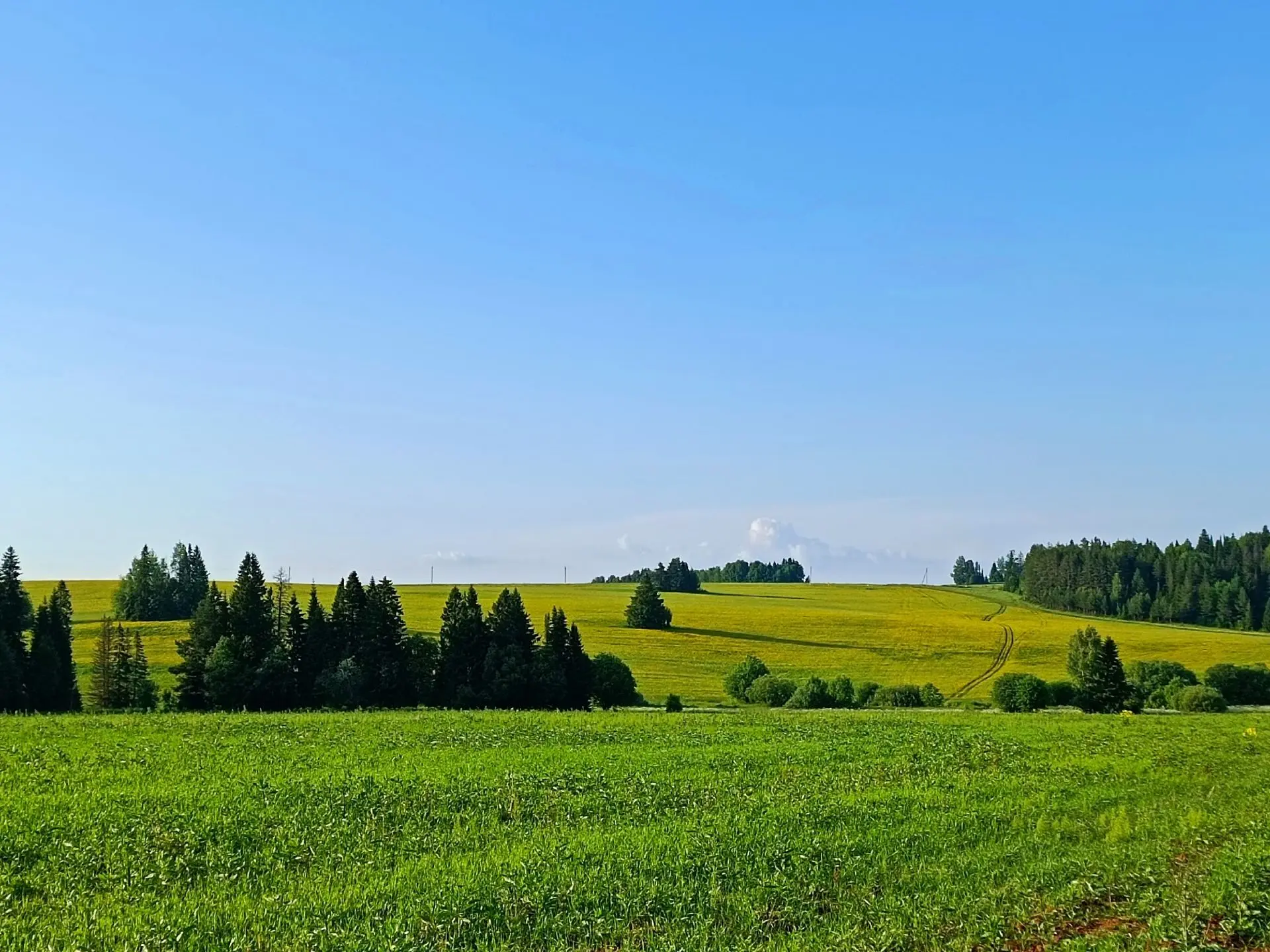 15 июня - День фотографии природы! 📸🌳

Сегодня особенный день для всех, кто любит фотографировать 