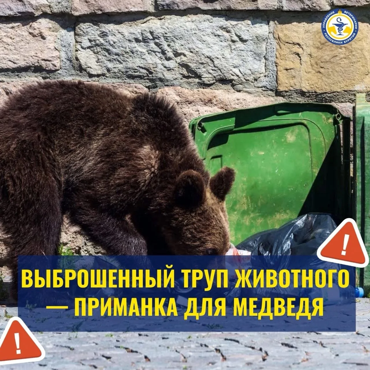 ⚠️ ВЫБРОШЕННЫЙ ТРУП ЖИВОТНОГО — ПРИМАНКА ДЛЯ МЕДВЕДЯ