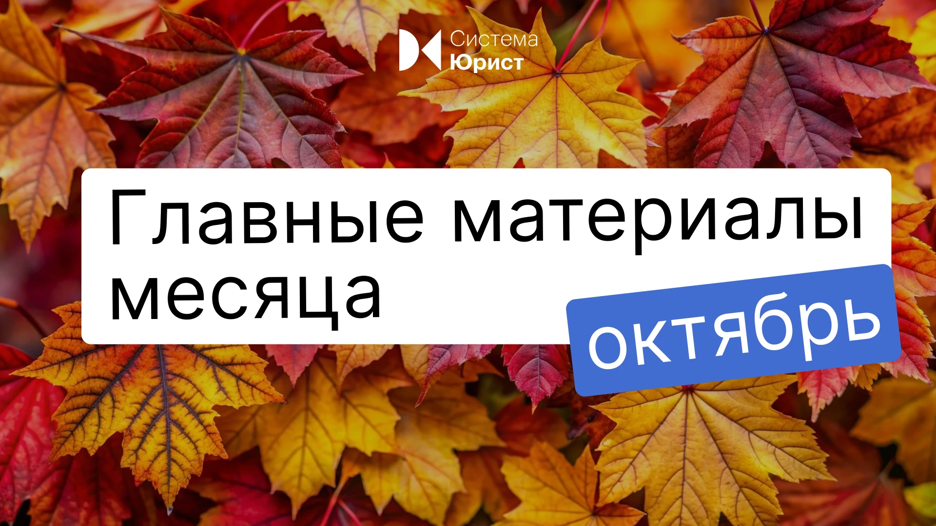 Делимся главными материалами октября в Системе Юрист