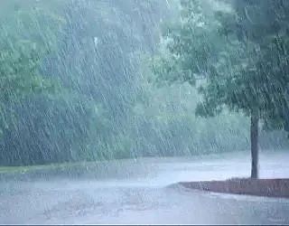 🌧️ Сильные дожди обрушатся на Прикамье