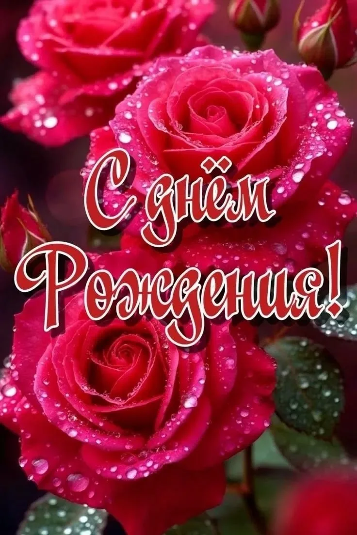 🥳 #день_рождения
