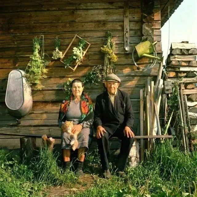 Надежда и Иван всю жизнь прожили в родной деревне Петрово. Когда-то здесь кипела жизнь,...