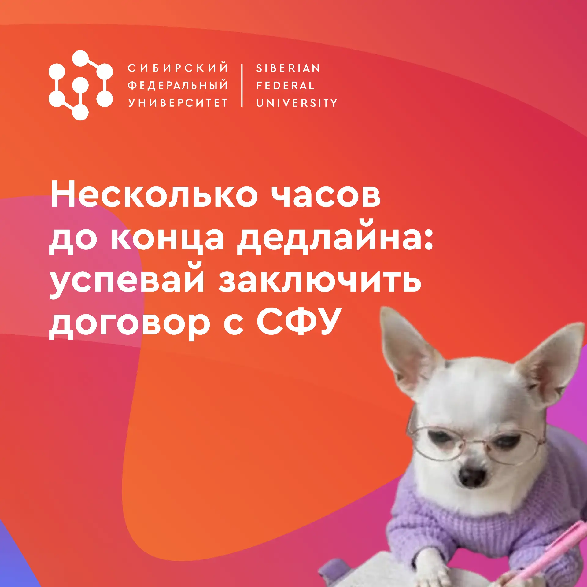 А ты уже заключил договор на платное обучение в СФУ? Поторопись, абитуриентские часики ...