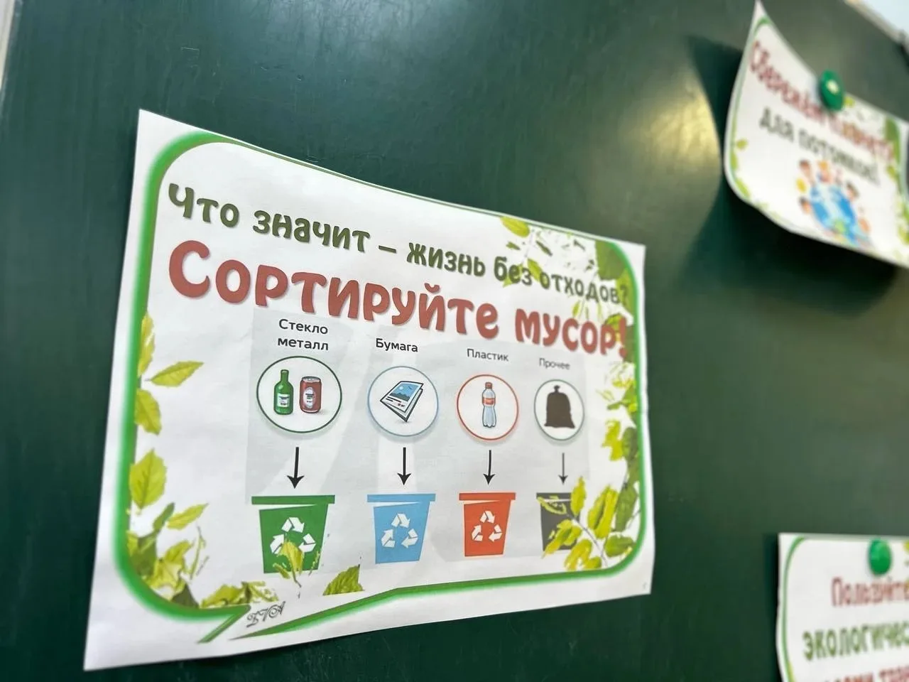 Экологическое воспитание в действии!