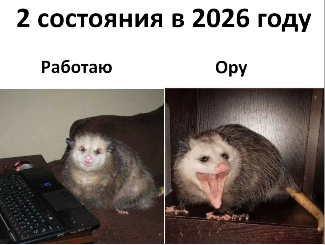 Бизнесу запретят работать с самозанятыми больше 6 месяцев