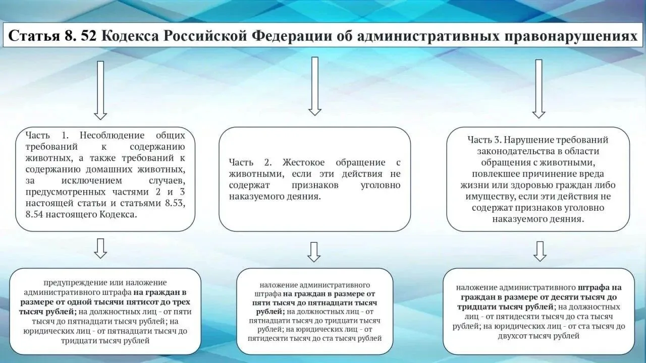 🐾 Новые правила содержания домашних животных в Саратовской области