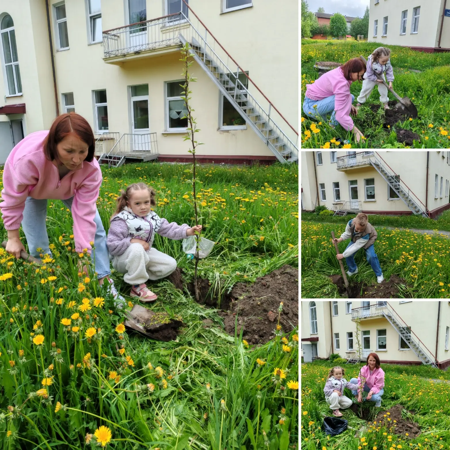 ✨ Выпускники 2026 года (ул. Профсоюзов) оставили на память о себе  подарок детскому саду — саженец г