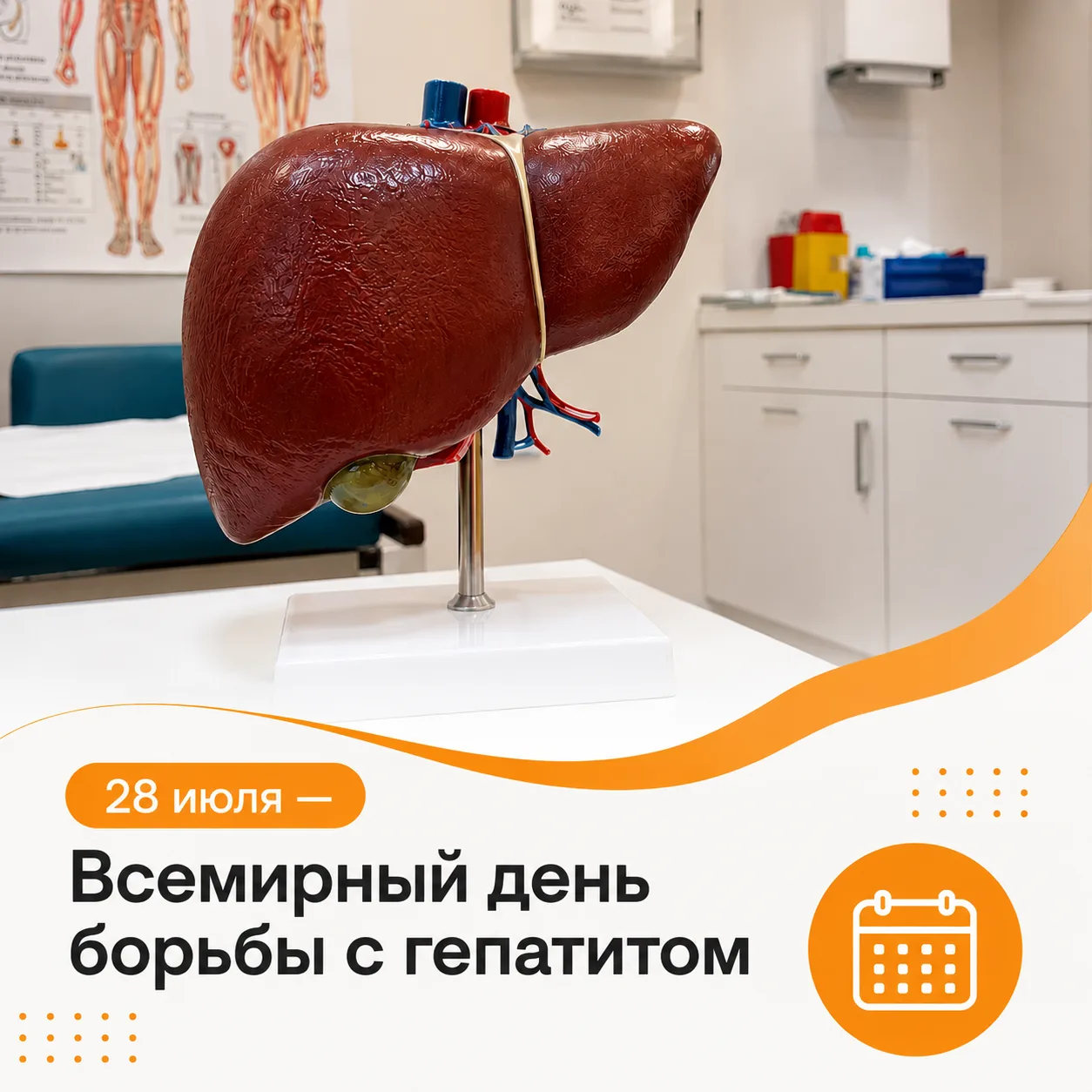Всемирный день борьбы с гепатитом ежегодно отмечается 28 июля — в день рождения Баруха Бламберга, по
