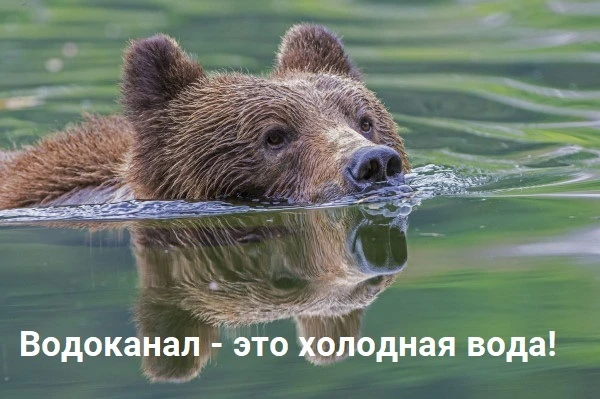 Когда вы захотите узнать у МУП «Ухтаводоканал», почему нет горячей воды, вспомните, что:⤴️