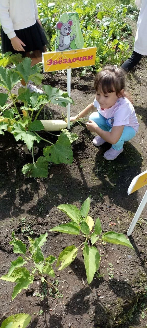 Огород в детском саду. 🌾🌽