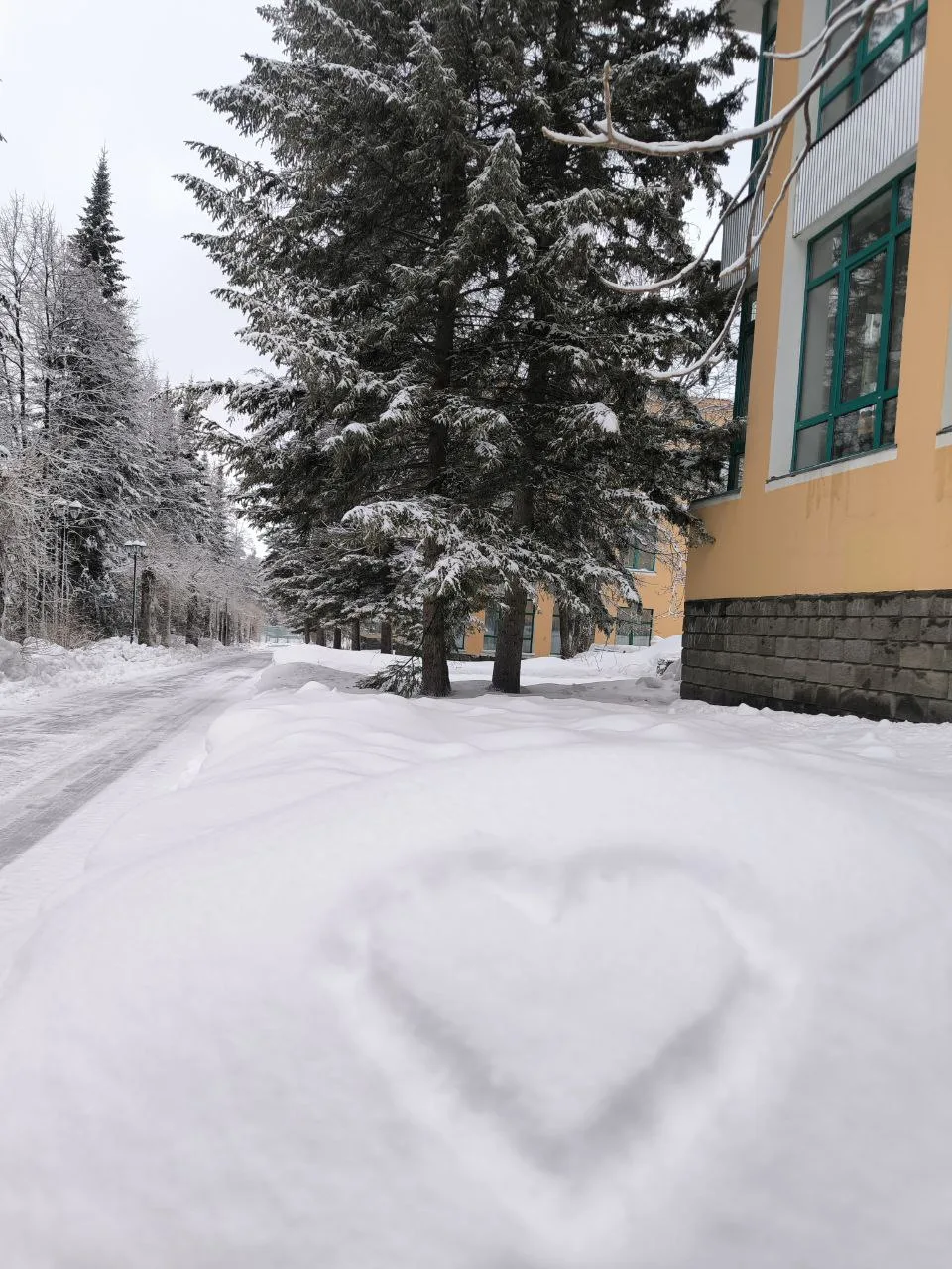 🌤️✨ Доброе утро, друзья!