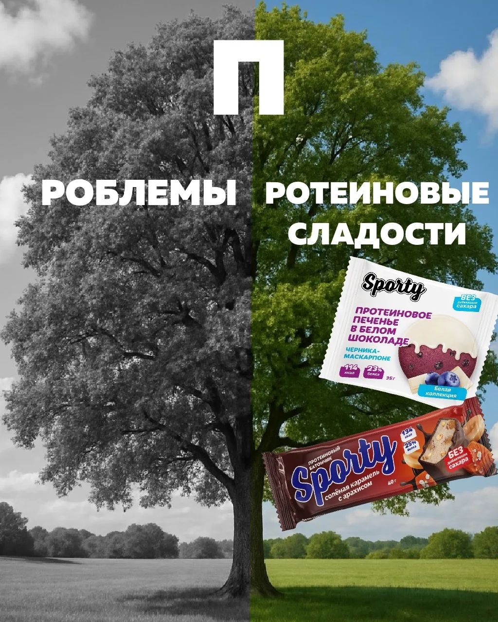 Мы выбираем П – протеиновые сладости SPORTY💪