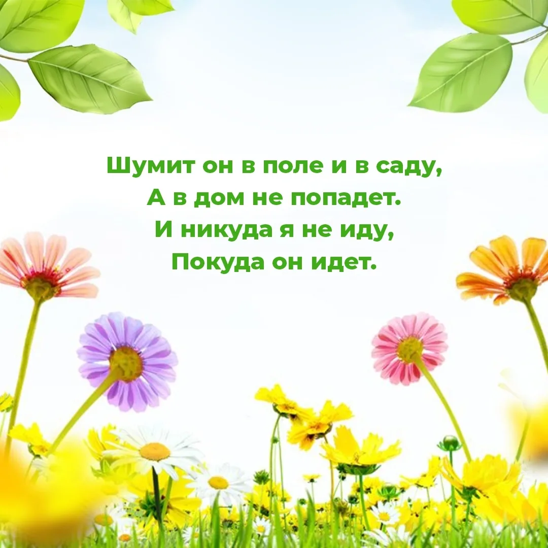 Лето - это...