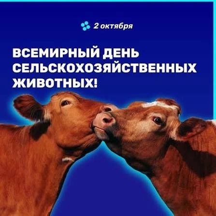 С Праздником!
