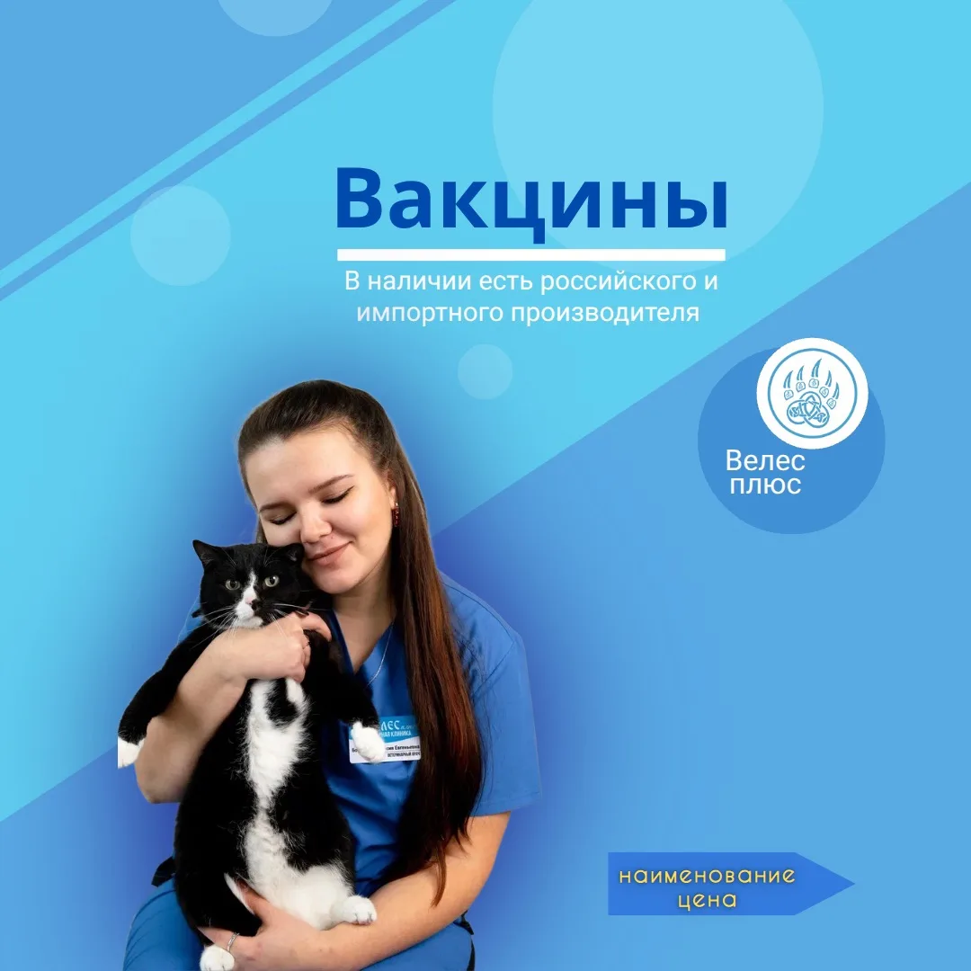 Вакцинация помогает защитить собак и кошек от опасных инфекций и поддерживать иммунитет...