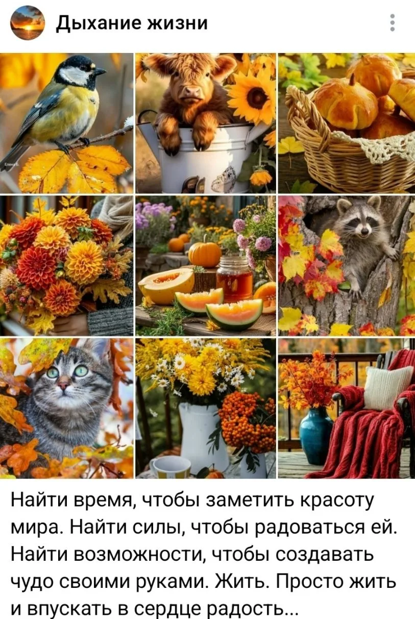 ВК подкидывает в воспоминаниях прошлогодние истории...
