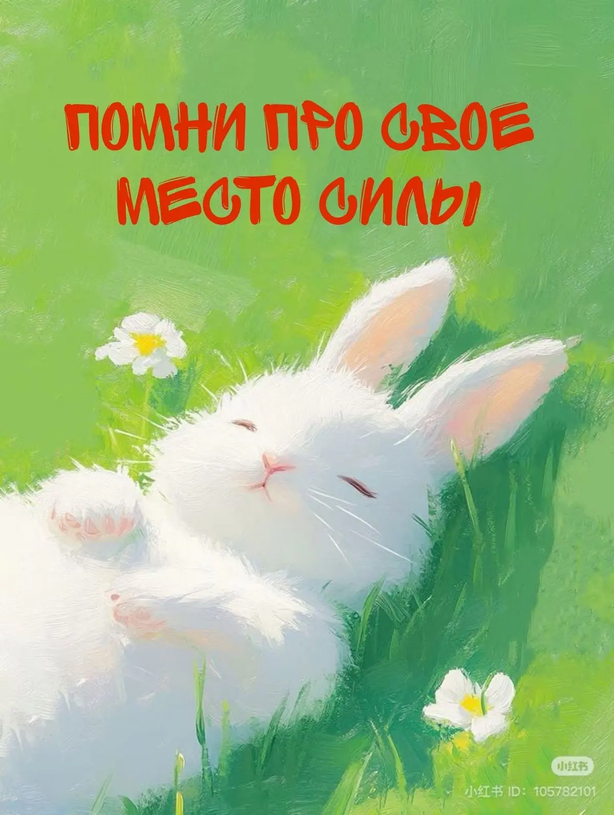 ✨ОТКРЫТКИ И ПОЗДРАВЛЕНИЯ✨