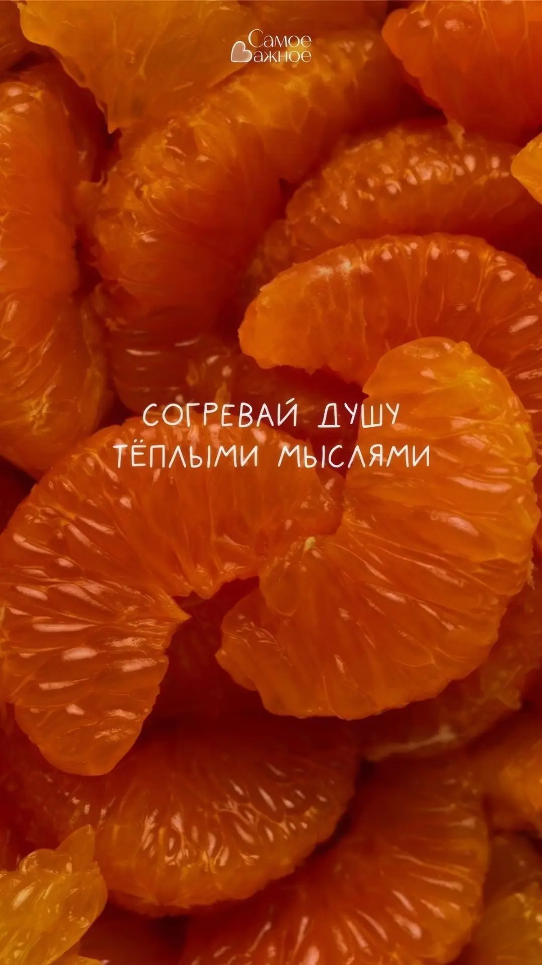 #МотивацияДня